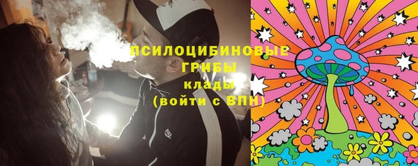 МДПВ Осташков
