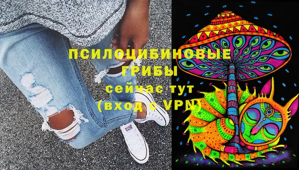 МДПВ Осташков
