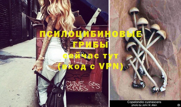 мдпв Остров