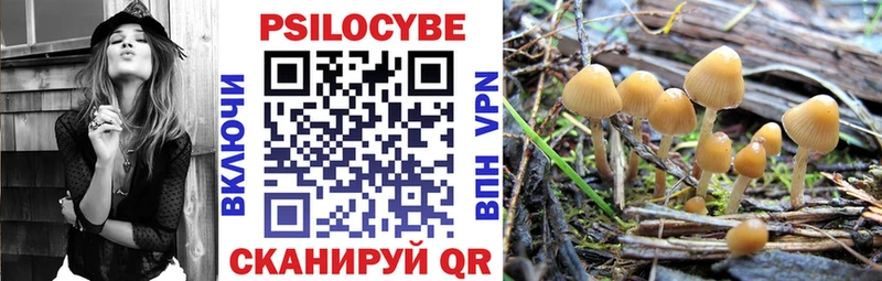 Купить закладки  Златоуст  Галлюциногенные грибы Cubensis 